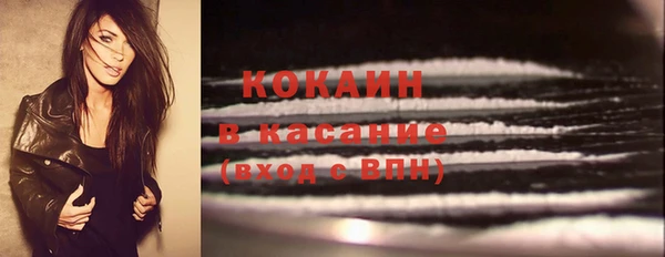 твердый Богородицк