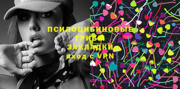 твердый Богородицк